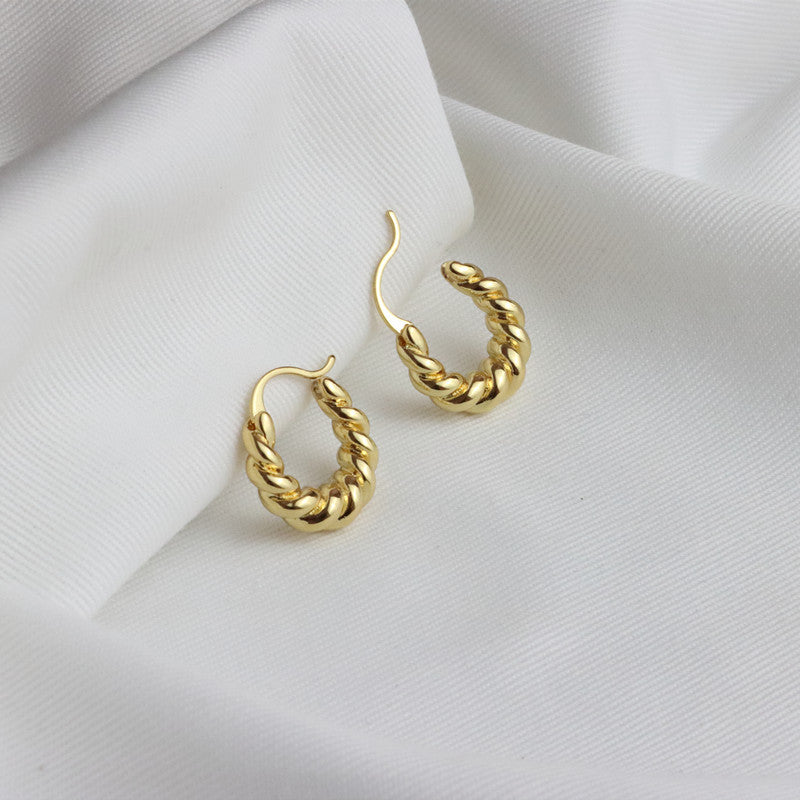 Petites boucles d'oreilles  torsadées