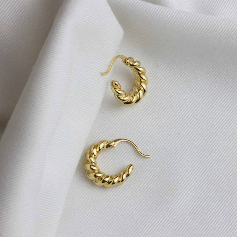 Petites boucles d'oreilles  torsadées