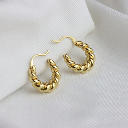 Petites boucles d'oreilles  torsadées